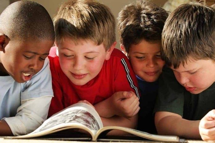 pdf neurociencias consejos docentes