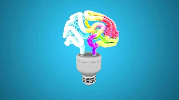 consumo energetico cerebro