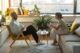Terapeuta y paciente conversan sentados frente a frente en un salón luminoso con plantas