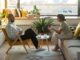 Terapeuta y paciente conversan sentados frente a frente en un salón luminoso con plantas