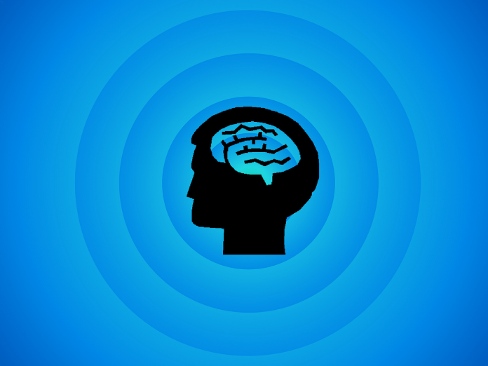 Brain
