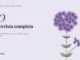 Entrega 10 de Lo que creció del conductismo: La revista completa, ilustrada con flox en acuarela
