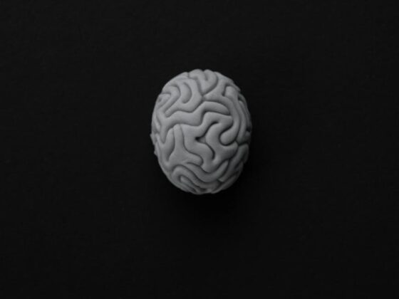 monochrome photo of a brain