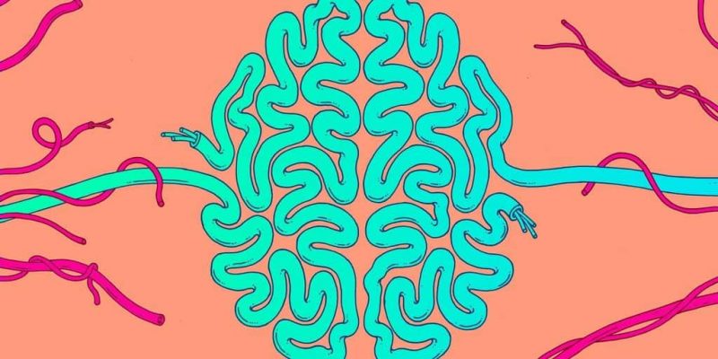 Ilustración de un cerebro turquesa con forma de laberinto atravesado por vasos sanguíneos