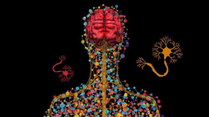 enfermedades neurodegenerativas