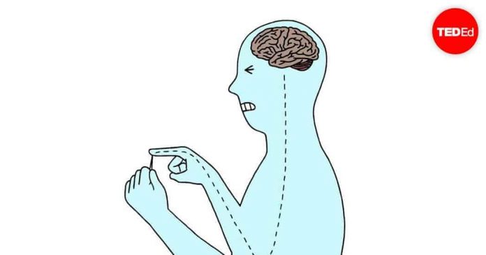 analgesicos-como-funcionan