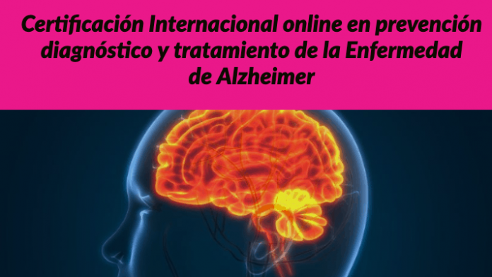 cerebro alzheimer certificacion
