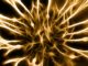 Filamentos dorados brillantes que se ramifican como neuronas sobre un fondo oscuro