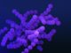 a bunch of purple balls are in the air