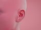 Primer plano de una oreja en una cabeza rosada sin pelo, sobre fondo rosa