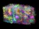 Reconstrucción 3D de un milímetro cúbico de cerebro con miles de neuronas de colores sobre fondo negro