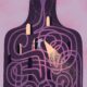 Ilustración de una figura humana cuyo interior es un laberinto violeta por el que caminan pequeñas personas