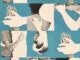 Ilustración del artículo «¿Qué significa tener ‘hambre de piel’?»