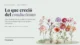 Lo que creció del conductismo: ilustración de diez flores en acuarela junto al título del especial de Psyciencia sobre las terapias de tercera ola